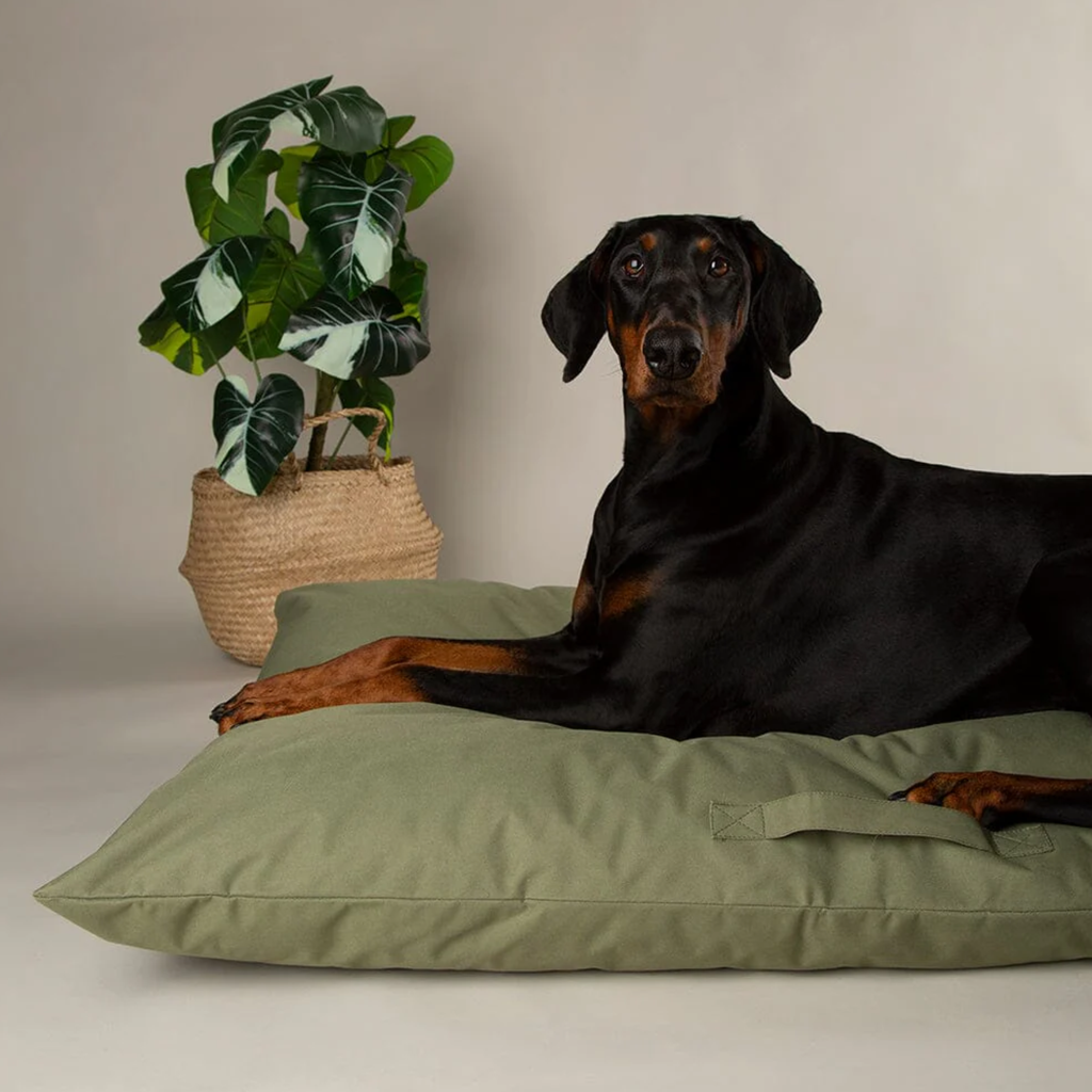 Scruffs Expedition Memory Foam Orthopaedic Pillow - Khaki Green