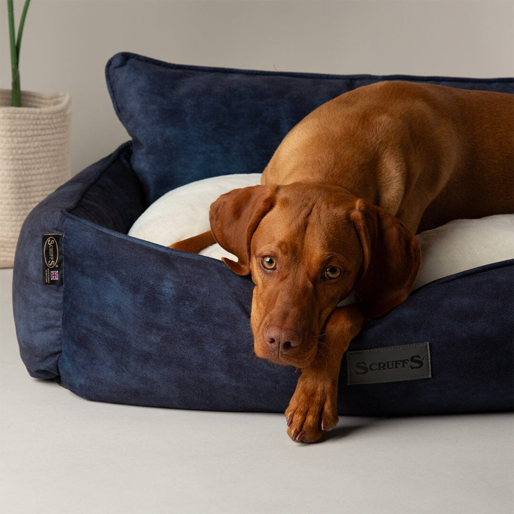 Scruffs Kensington Box Bed - Navy