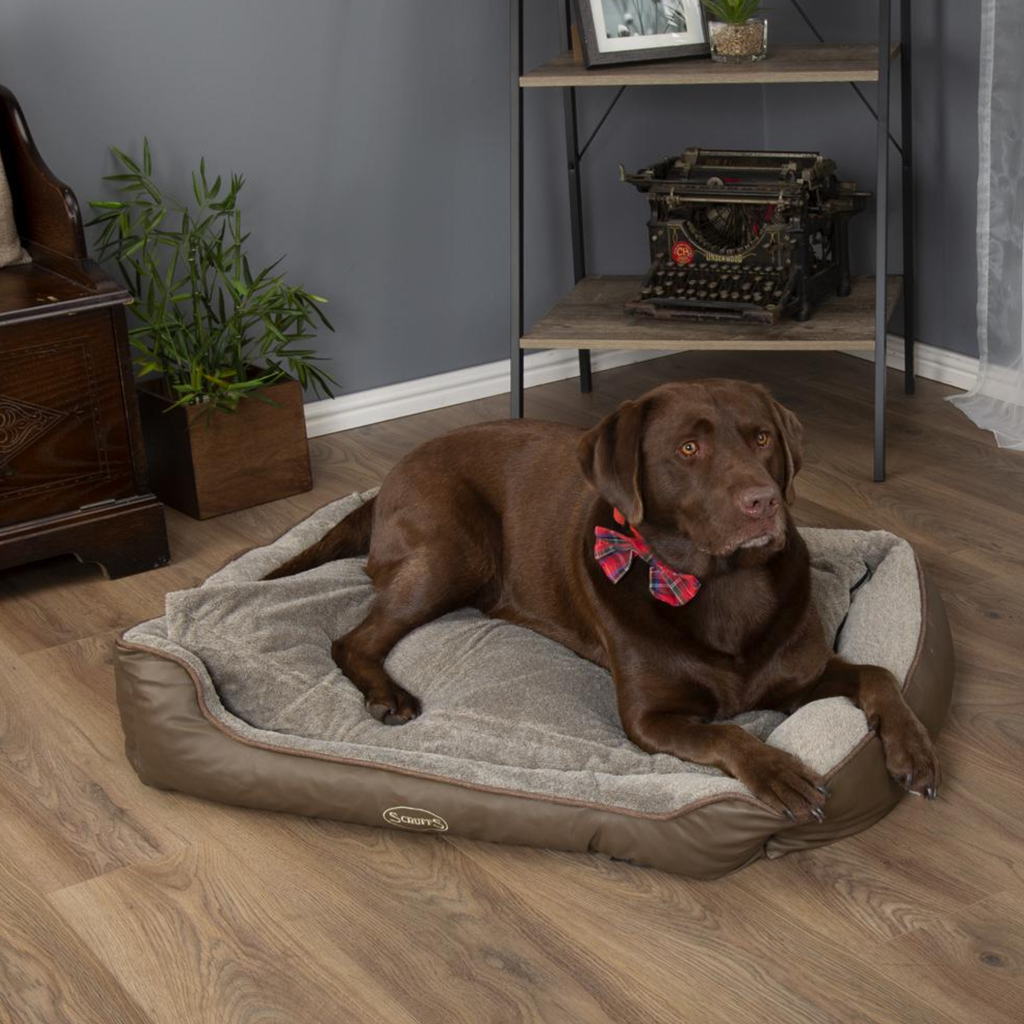 Scruffs Chateau Memory Foam Orthopaedic Box Bed - Late