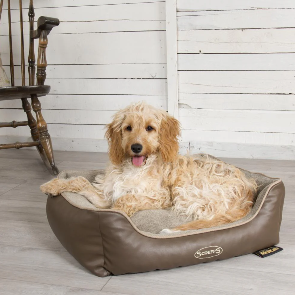 Scruffs Chateau Memory Foam Orthopaedic Box Bed - Late