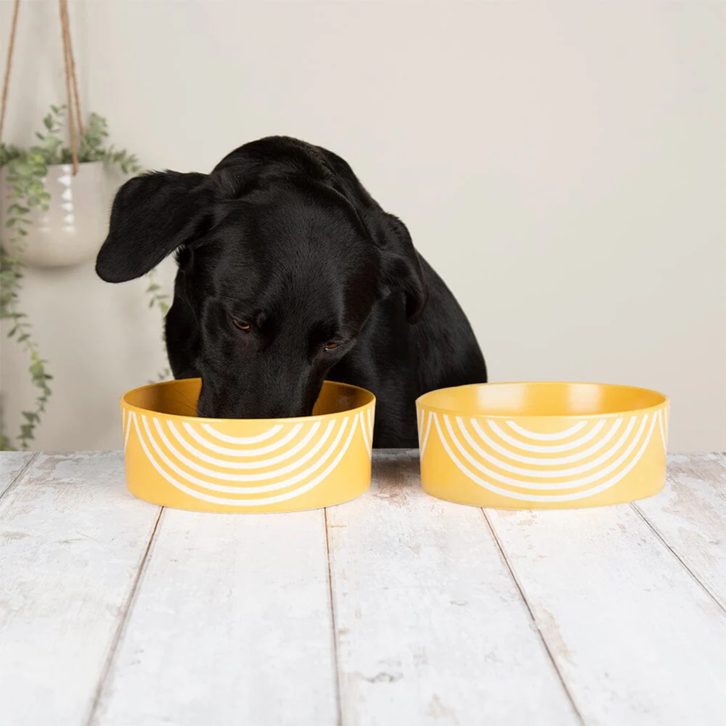 Scruffs Aztec Food Bowl - Sunflower