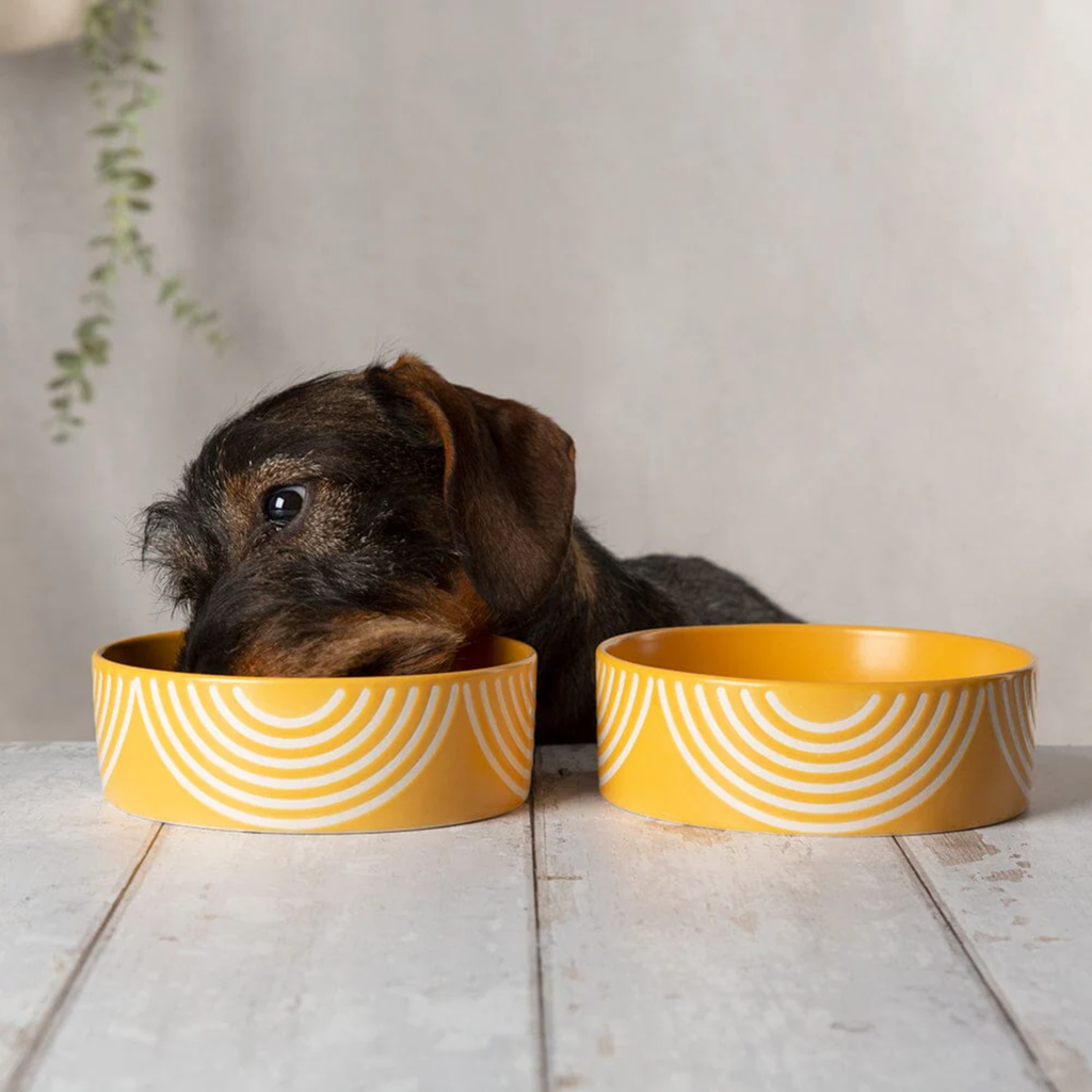 Scruffs Aztec Food Bowl - Sunflower