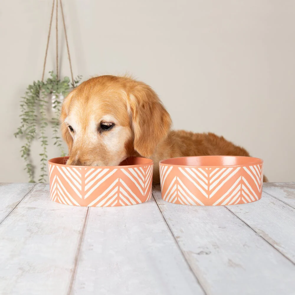Scruffs Aztec Food Bowl - Terracotta