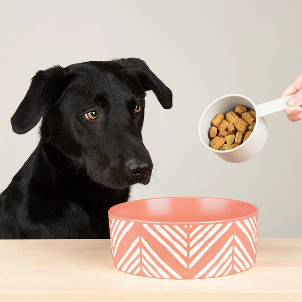 Scruffs Aztec Food Bowl - Terracotta