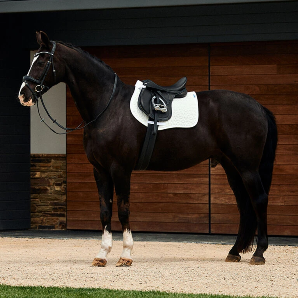 Weatherbeeta Suede Elite Air-Tec All Purpose Saddle Pad - White