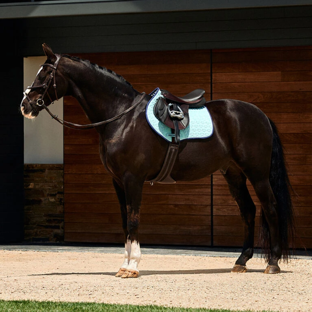 Weatherbeeta Suede Elite Air-Tec Jump Shaped Saddle Pad - Baby Blue