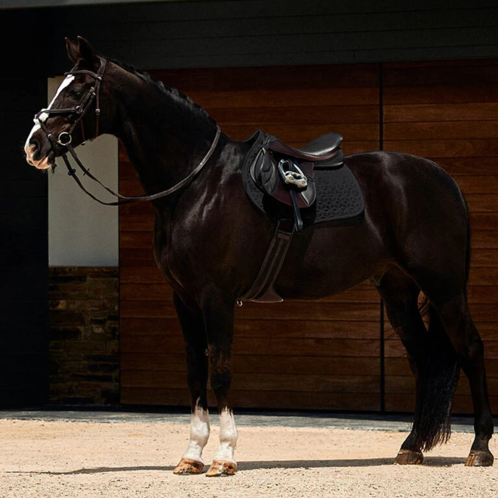Weatherbeeta Suede Elite Air-Tec Jump Shaped Saddle Pad - Black