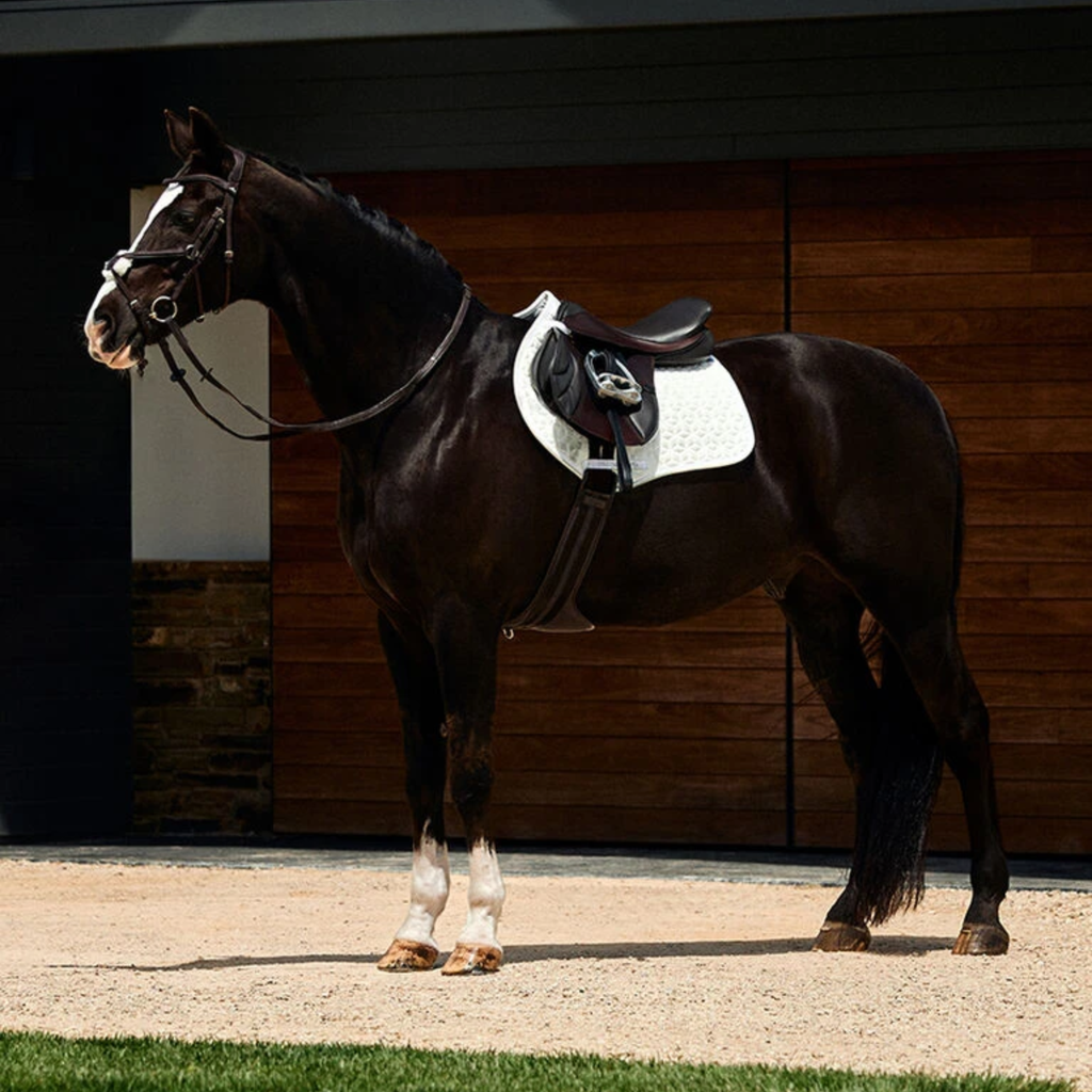 Weatherbeeta Suede Elite Air-Tec Jump Shaped Saddle Pad - White