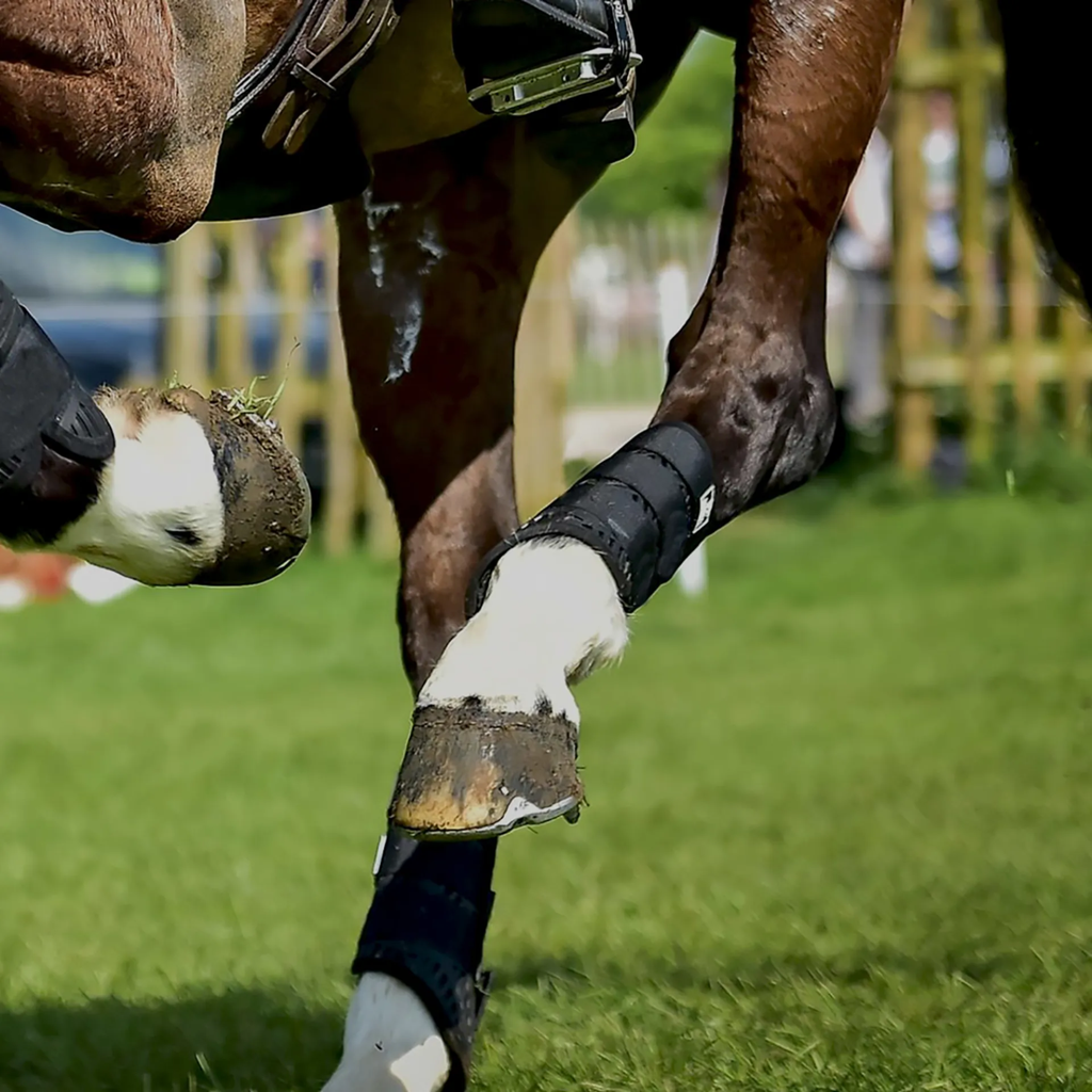 Majyk Equipe XC Elite Hind Boots - Jett Black