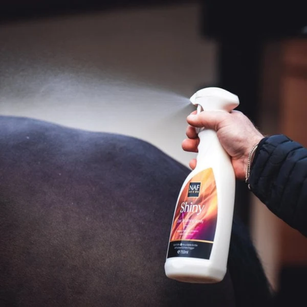 NAF Shiny Spray - 750ml