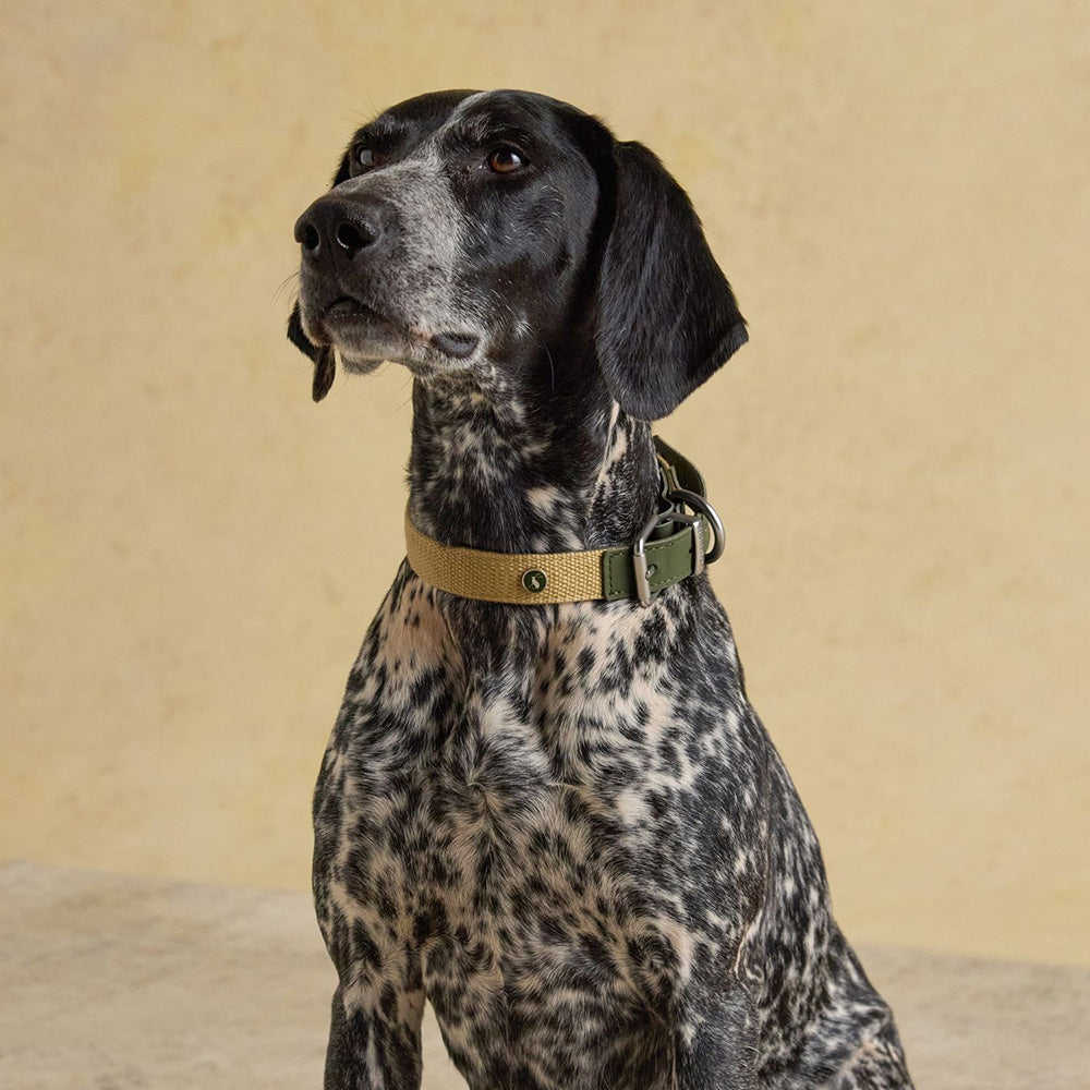 Joules Collar - Khaki
