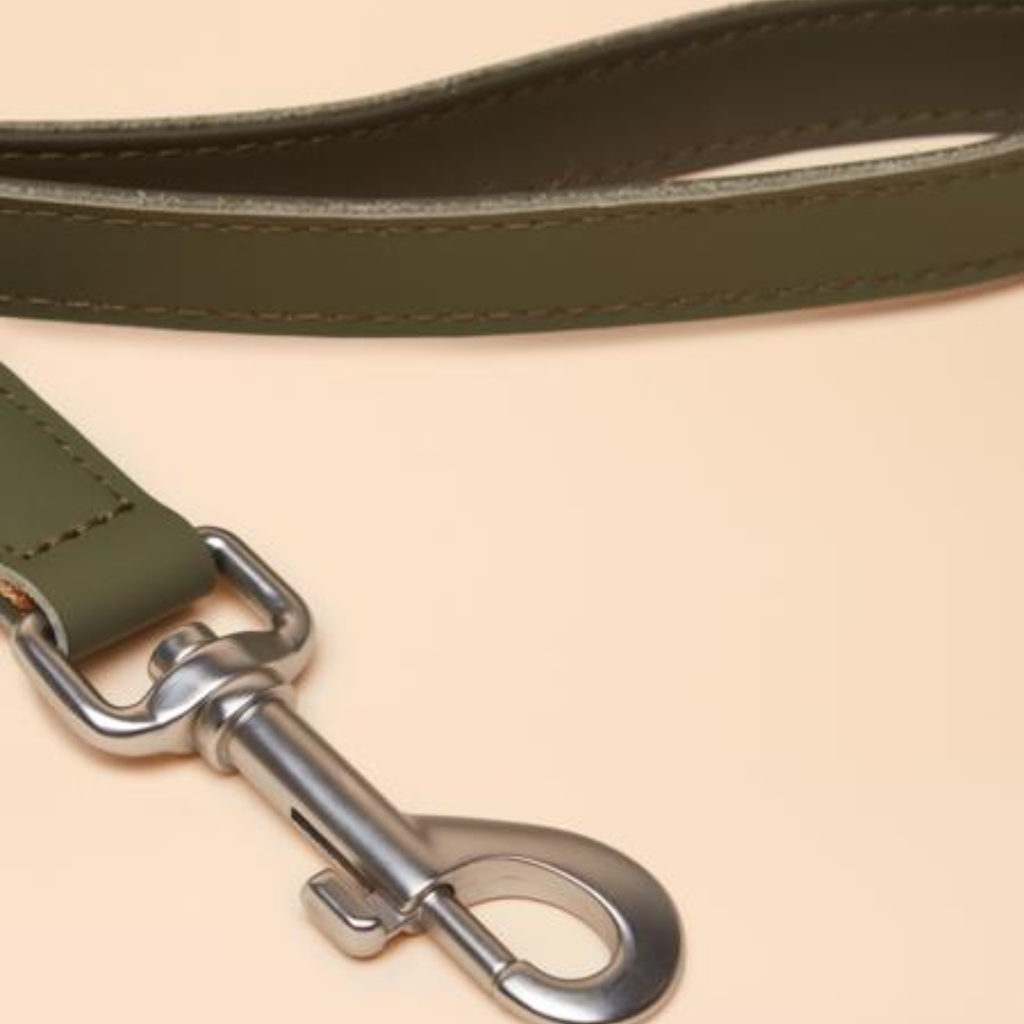 Joules Lead - Khaki