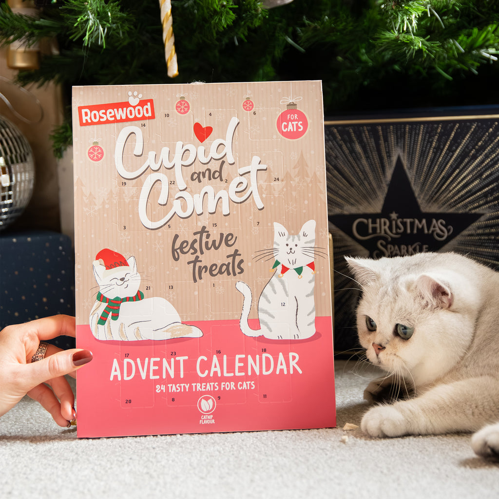 Rosewood Advent Calendar For Cats