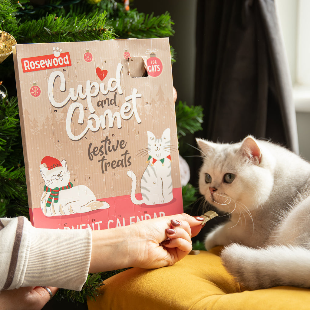Rosewood Advent Calendar For Cats