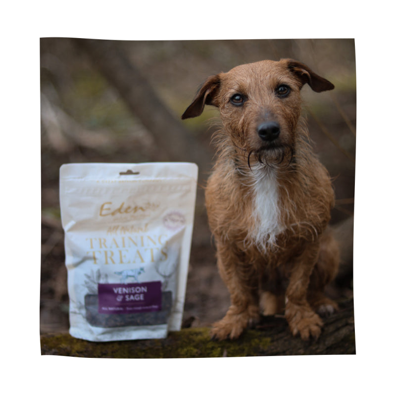 Eden Pet Foods Training Treats - Venison 80g