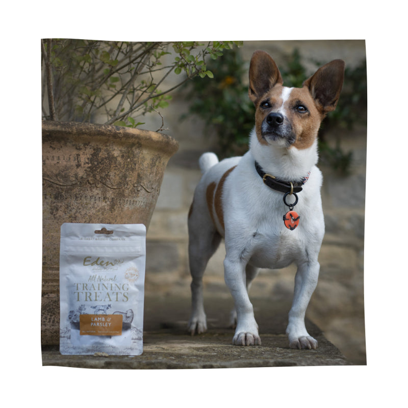 Eden Pet Foods Training Treats - Lamb 80g