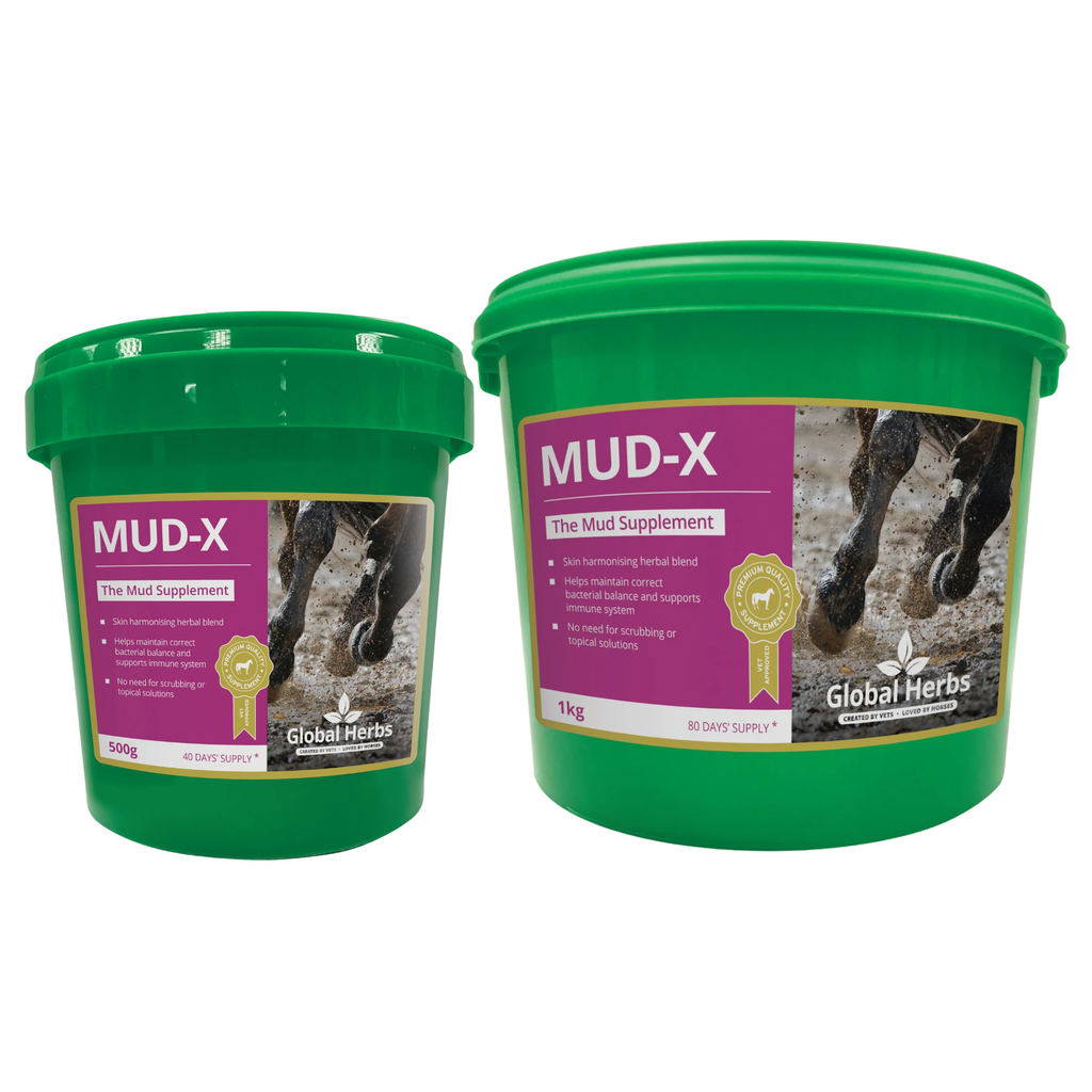 Global Herbs Mud-X Powder
