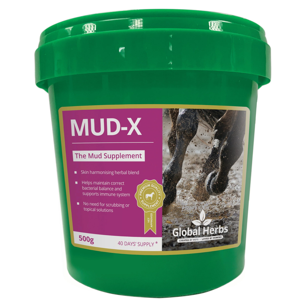 Global Herbs Mud-X Powder