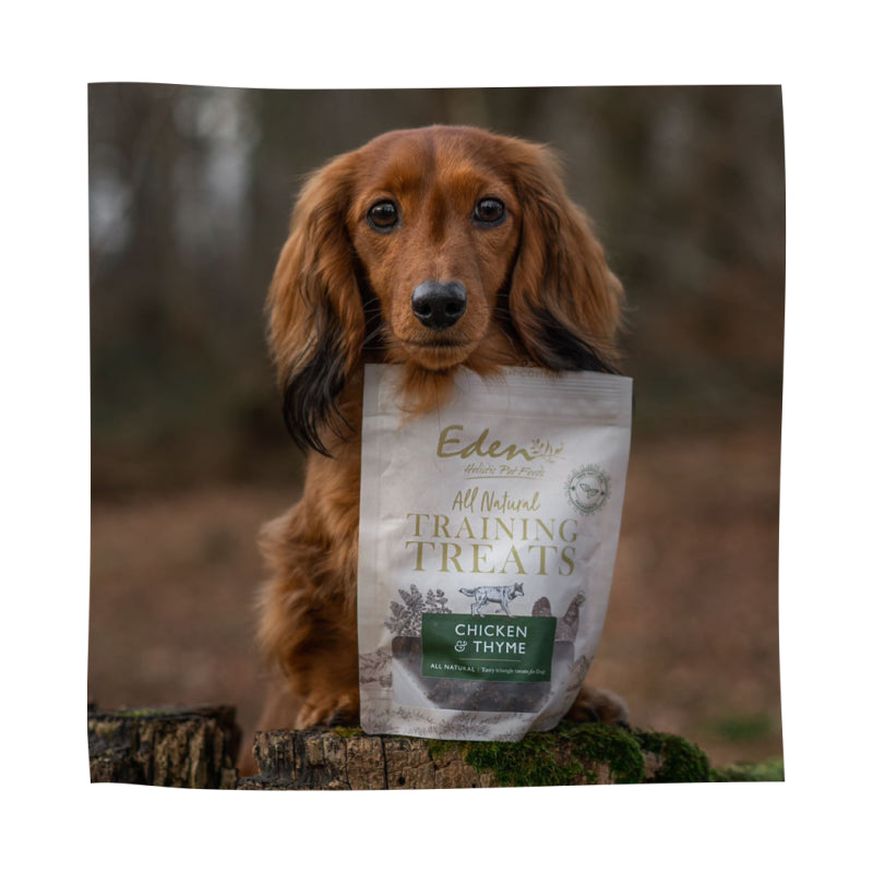 Eden Pet Foods Training Treats - Chicken 80g