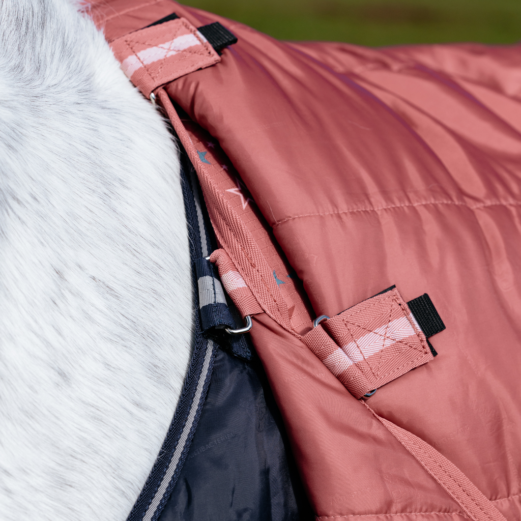 LeMieux Arika Star Turnout Rug 0g - Spiced Earth