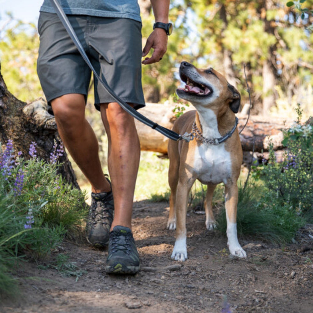 Ruffwear Chain Reaction Collar - Basalt Grey