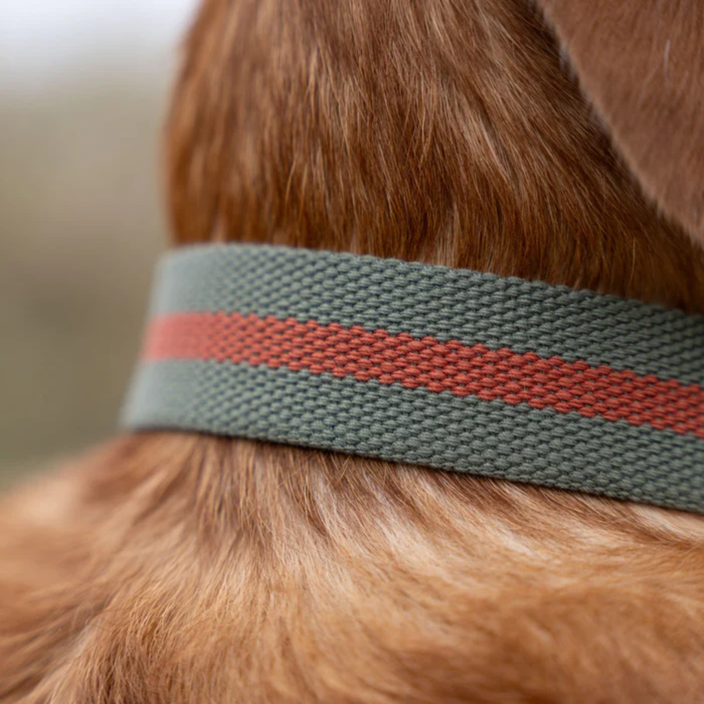 Ruff & Tumble All-Terrain Collar - Khaki/Chestnut