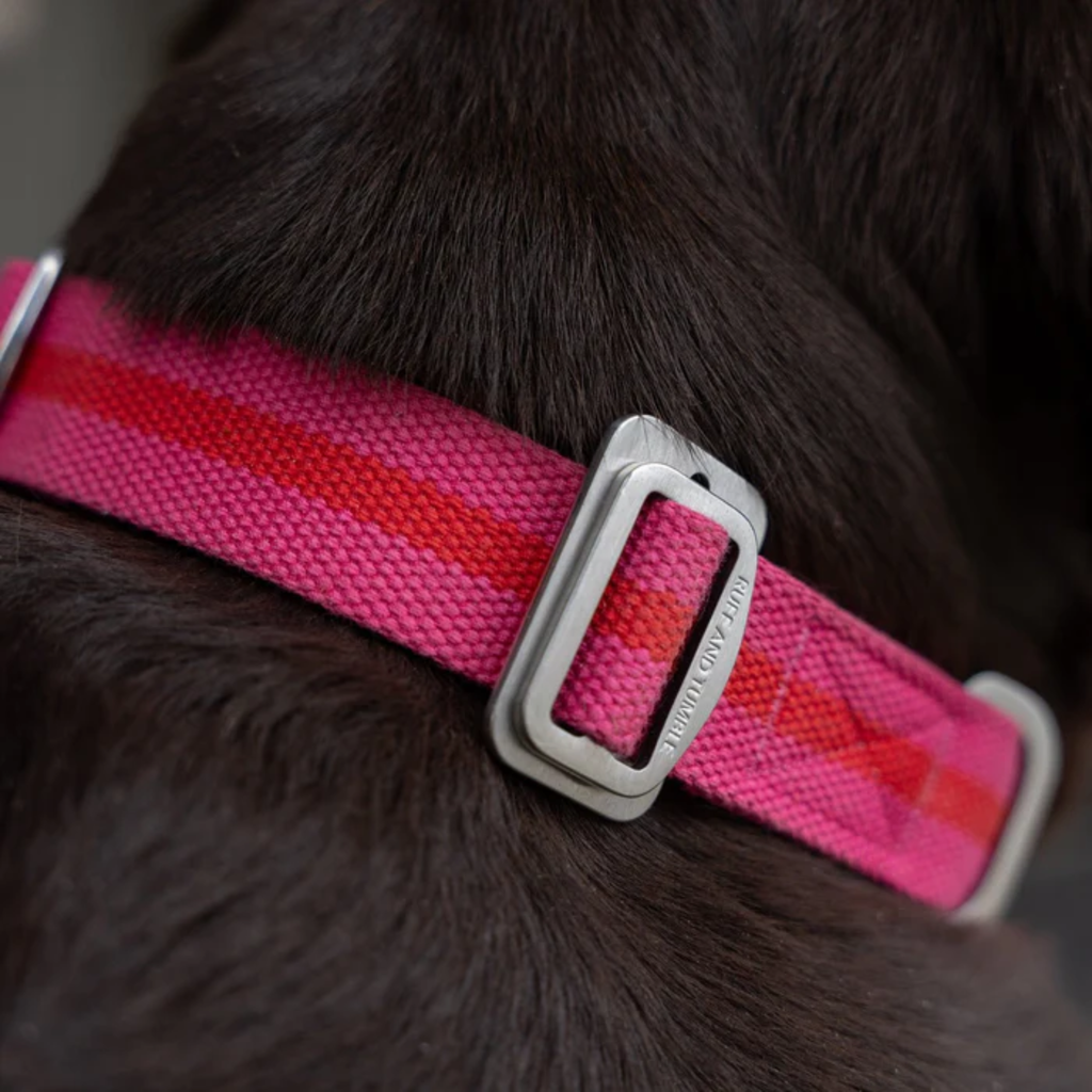 Ruff & Tumble All-Terrain Collar - Fuschia/Scarlett