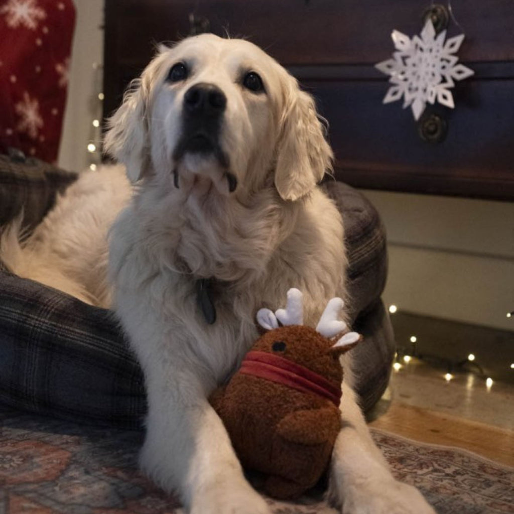 Petface Ronee Reindeer Plush Christmas Dog Toy