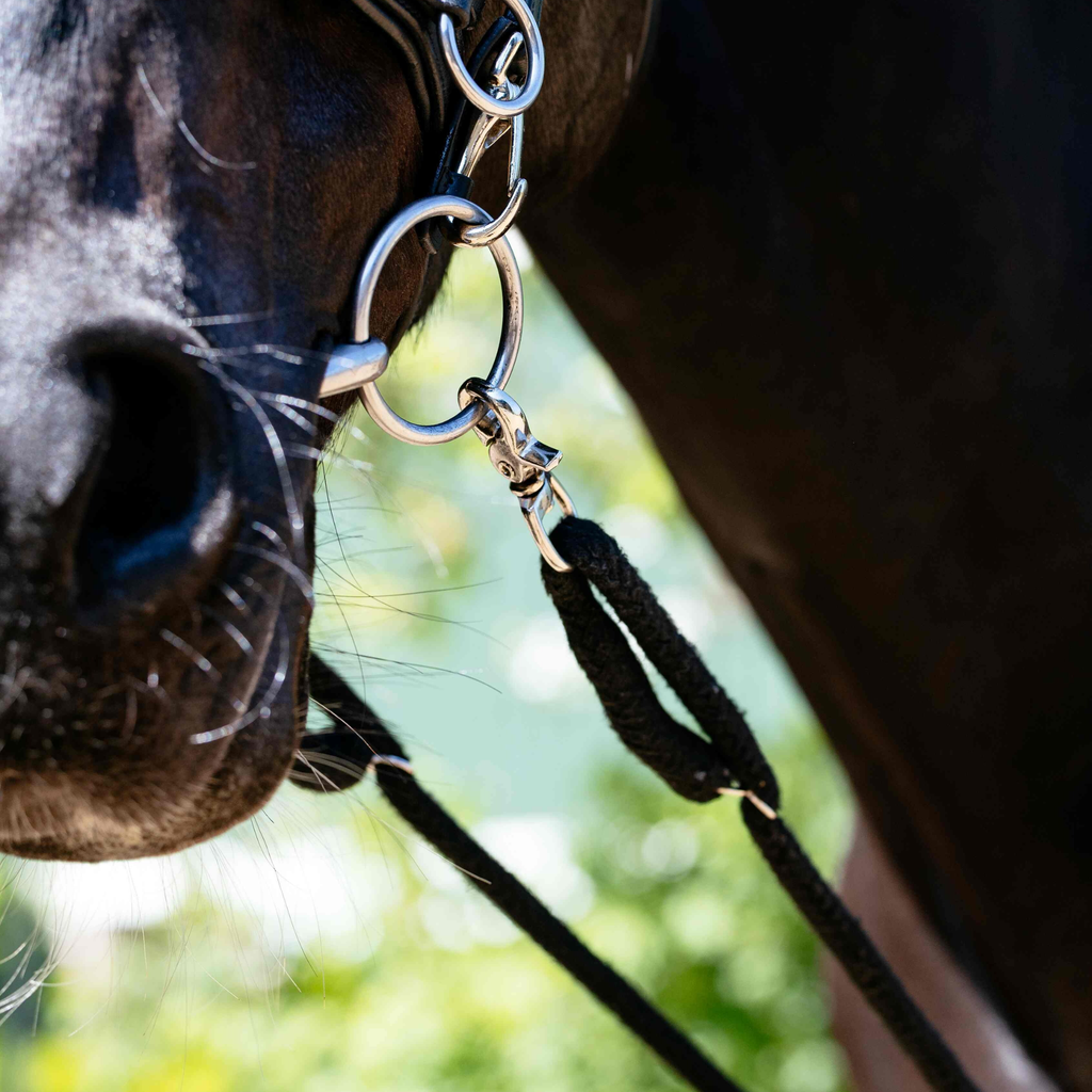 LeMieux Rope Lunging Aid - Black