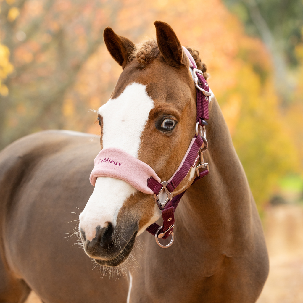 LeMieux Vogue Headcollar & Leadrope - Blackberry