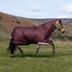LeMieux Arika Ripstop 200g Turnout Rug - Bramble