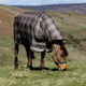 LeMieux Arika Check 100g Turnout Rug - Cocoa
