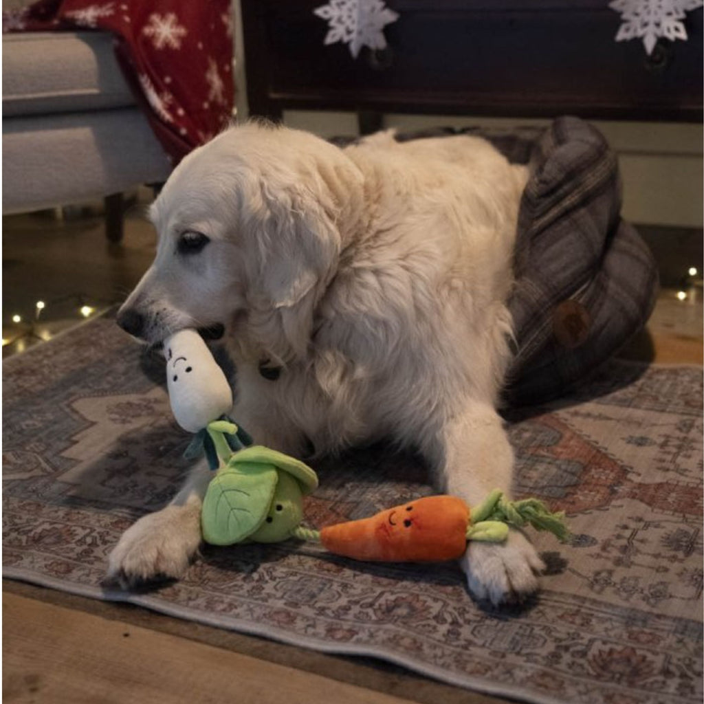 Petface Foodie Faces Christmas Veggie Tugger Plush and Rope Dog Toy