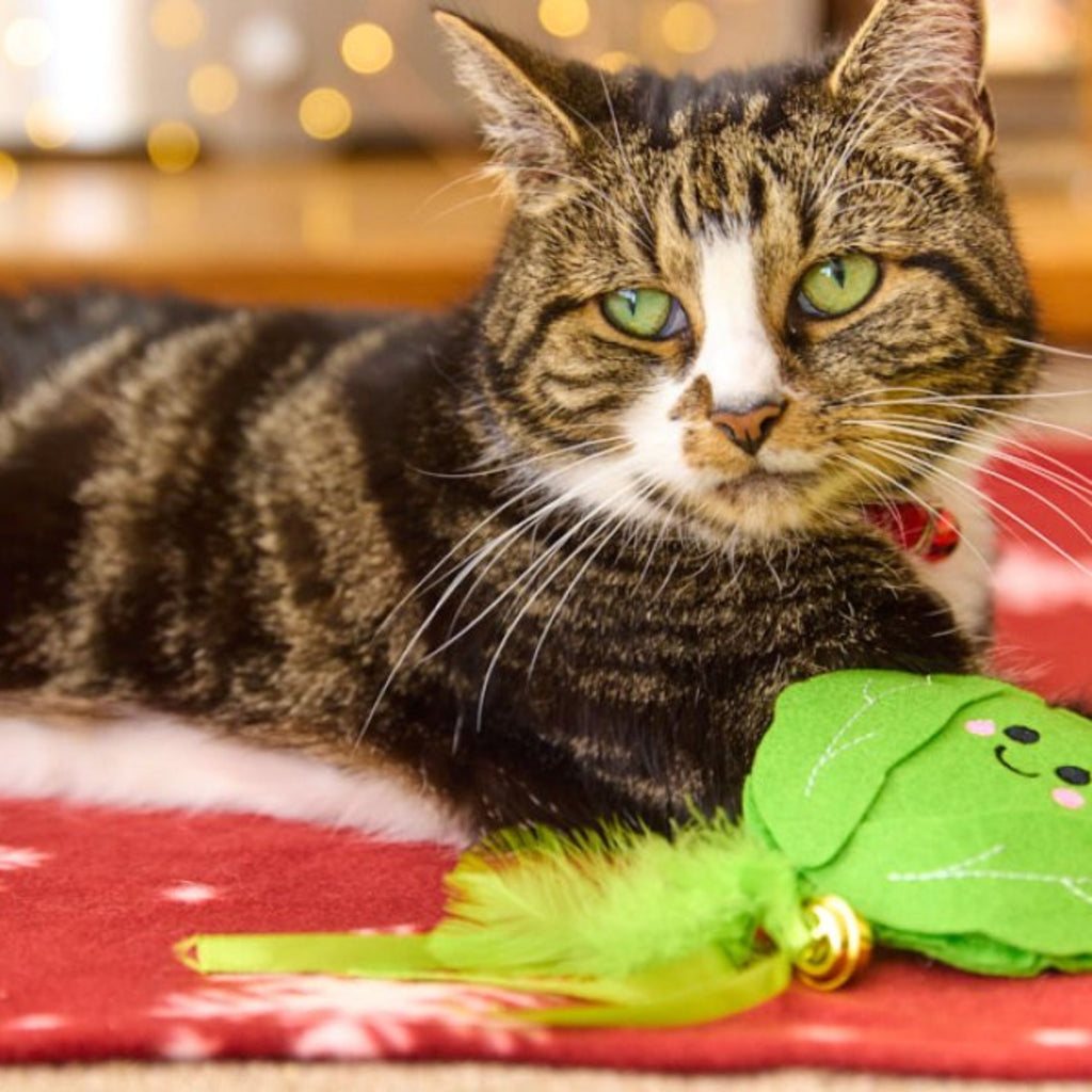 Petface Foodie Faces Felt Sprout Christmas Cat Toy