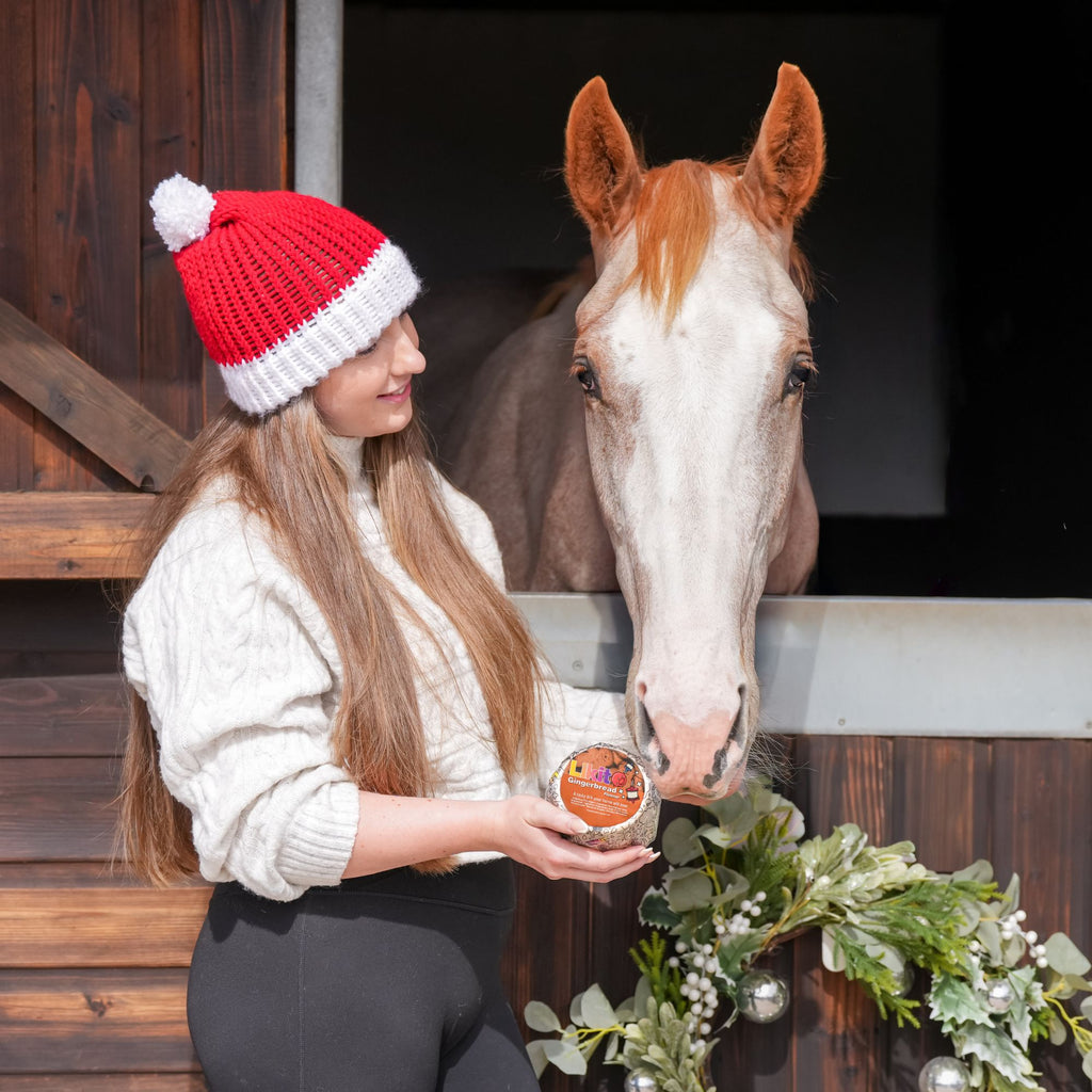 Likit Gingerbread - 650g