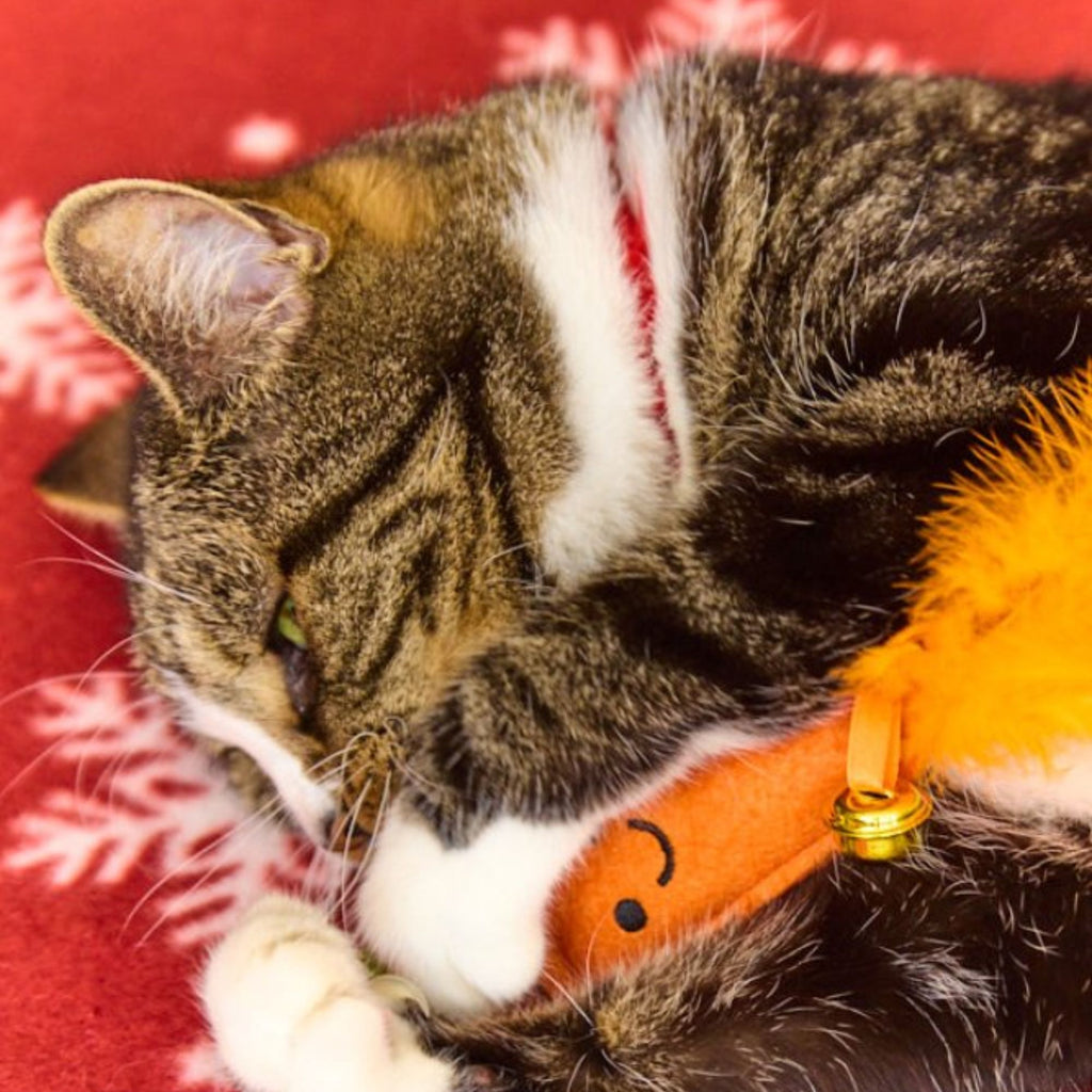 Petface Foodie Faces Felt Carrot Christmas Cat Teaser Toy