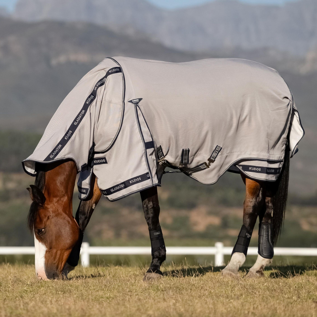 LeMieux Kudos Gladiator Fly Rug - Grey