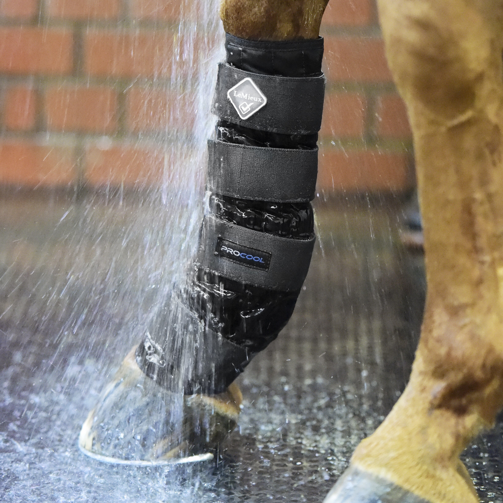 LeMieux Cold Water Boots