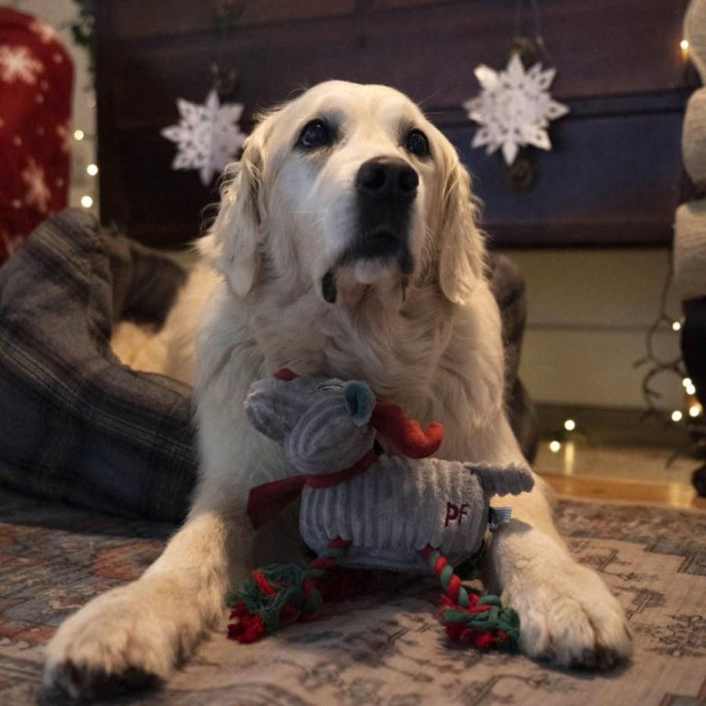 Petface Roger Rope Legs Reindeer with Scarf Plush Christmas Dog Toy