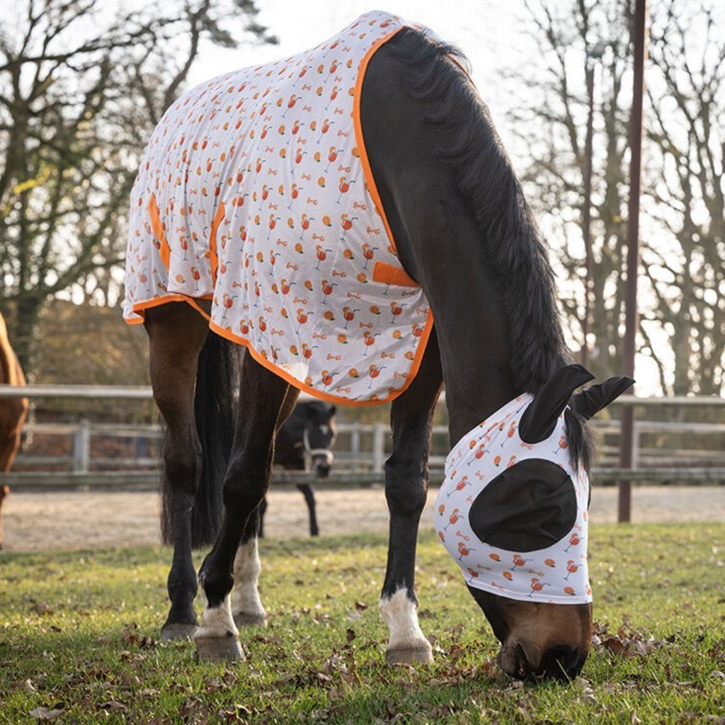 HKM Splash Fly Rug - Orange