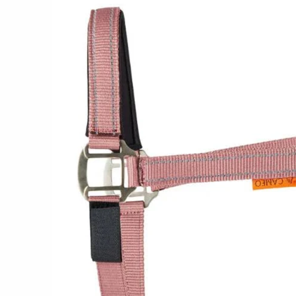 Cameo Fieldsafe Headcollar- Dusky Pink