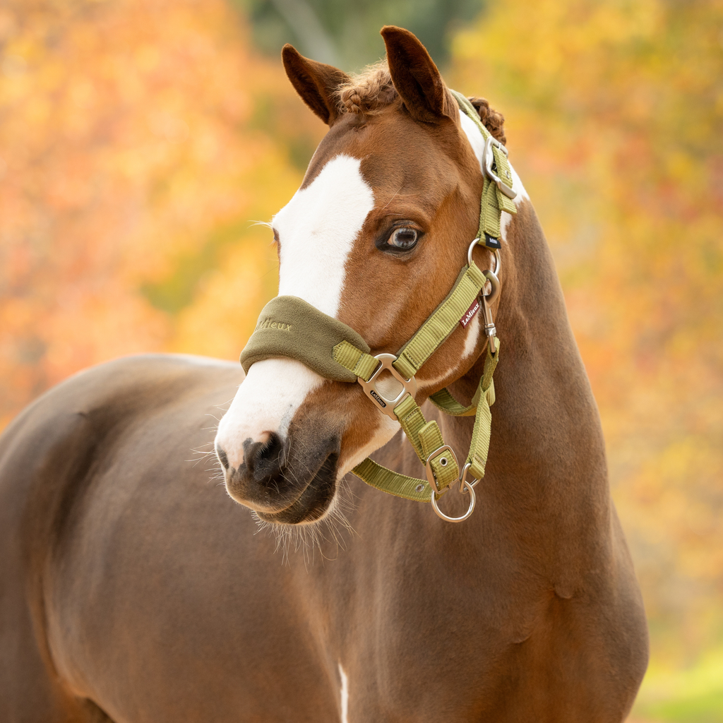 LeMieux Vogue Headcollar & Leadrope - Gooseberry