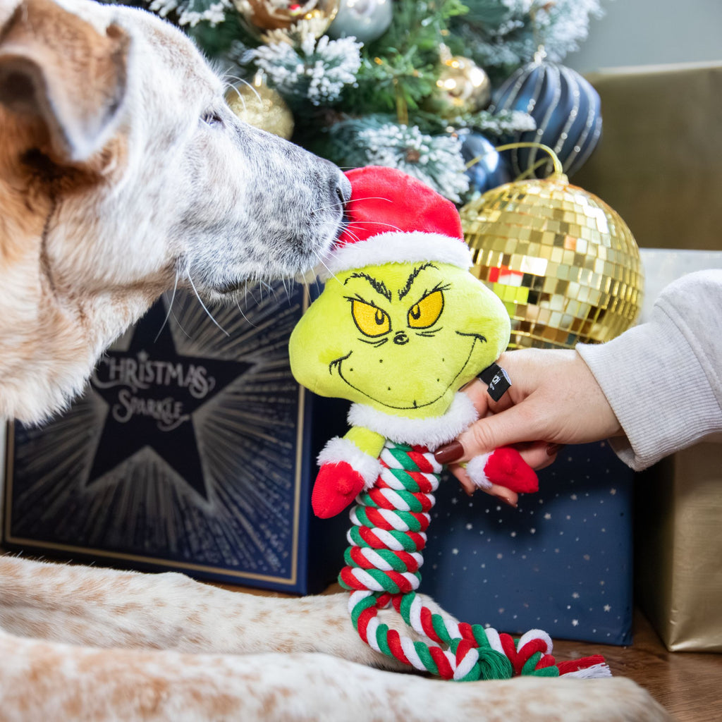 Rosewood Grinch Rope Body Toy