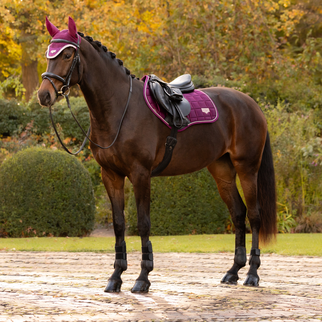 LeMieux Loire Classic Close Contact Square - Blackberry
