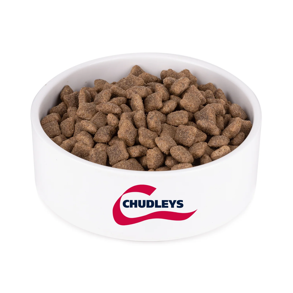 Chudleys Senior Dog Food