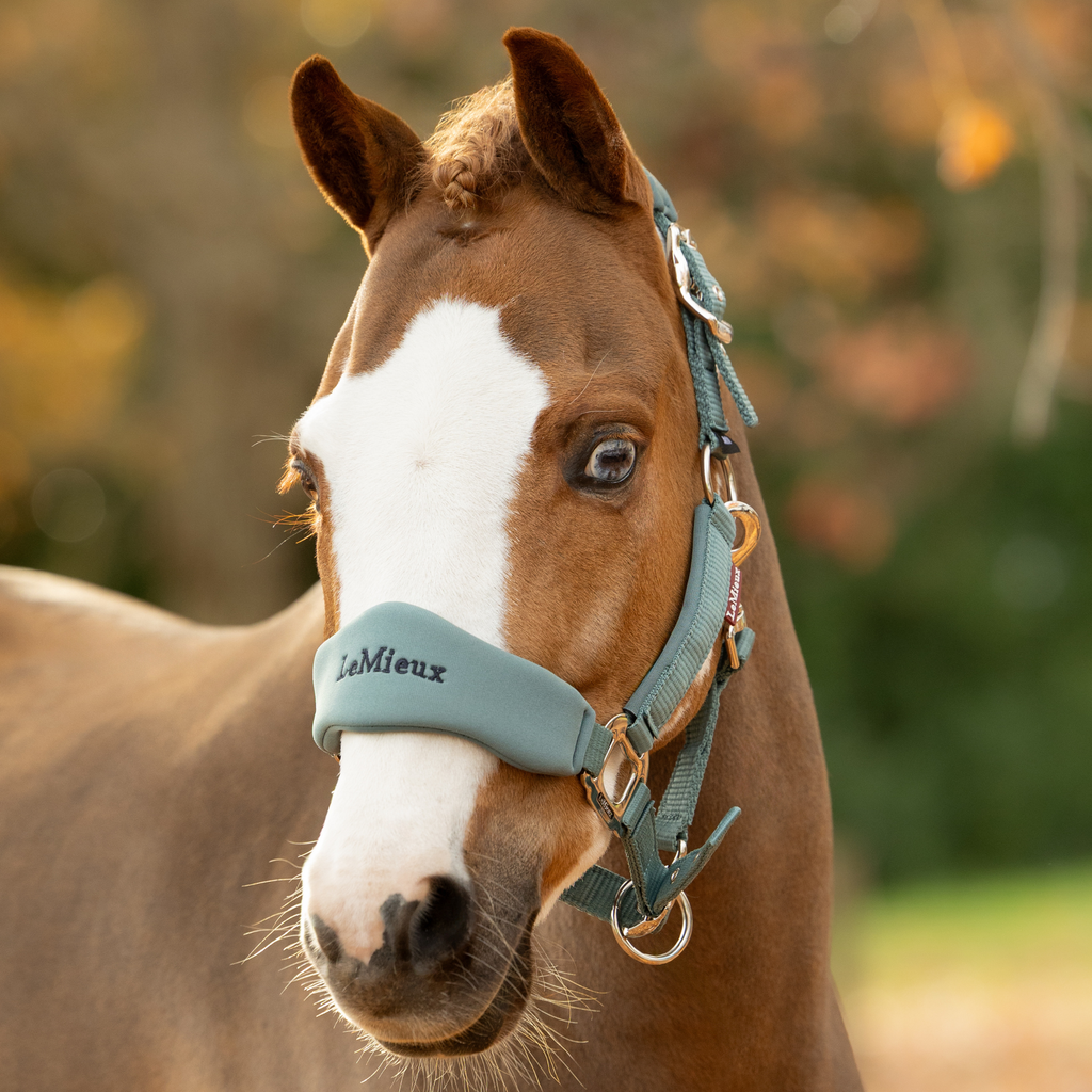 LeMieux Breakaway Vogue Headcollar & Leadrope - Aloe