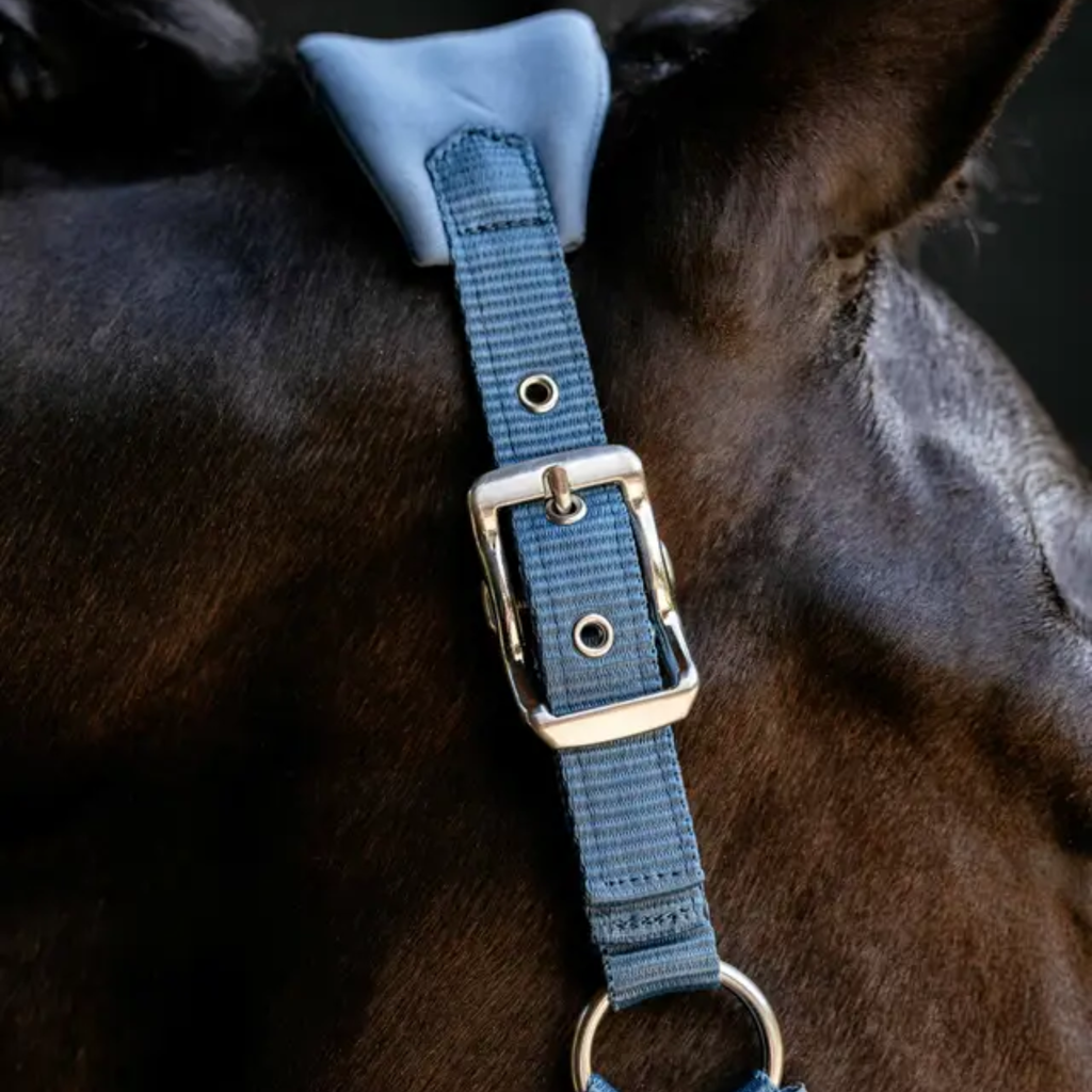 LeMieux Breakaway Vogue Headcollar - Ice Blue