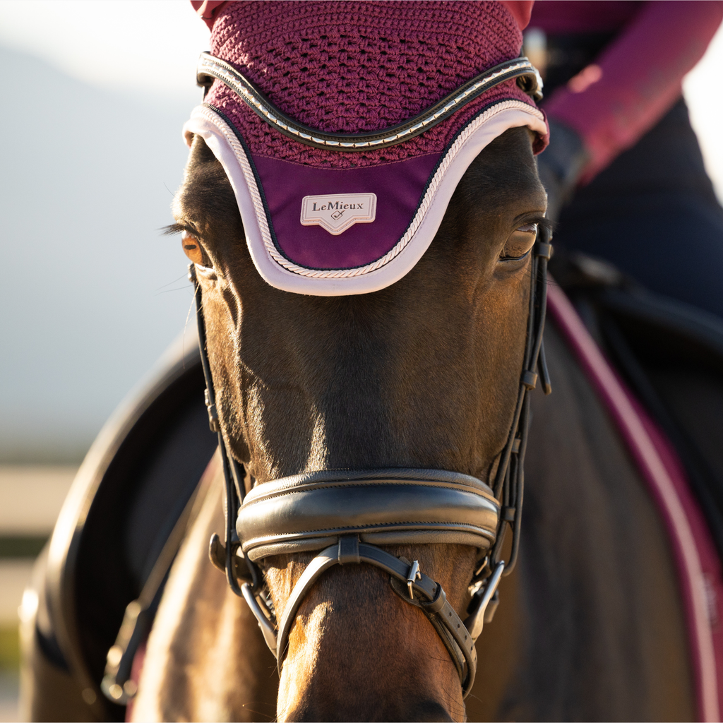 LeMieux Loire Fly Hood - Blackberry