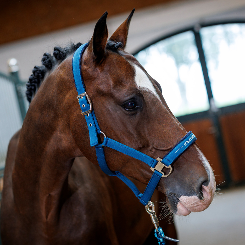 Schockemohle Memphis III Halter - Colonial Blue