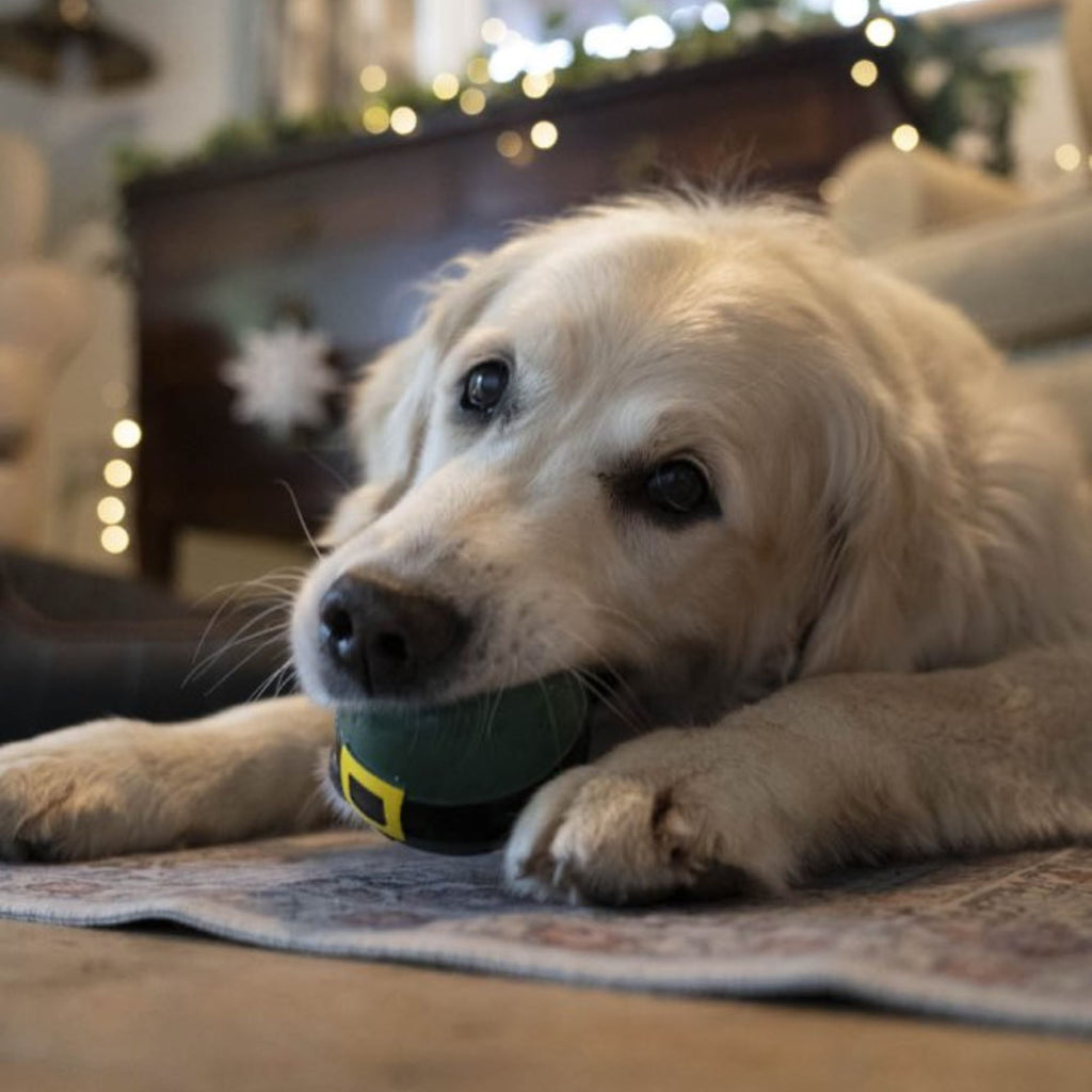 Petface Latex Elf Bauble Christmas Dog Toy